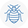 Bed Bug Extermination In Ossett