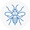 Ossett Hornet Nest Removals