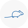 Mice Exterminators In Ossett