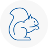 Ossett Rodent Removals