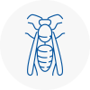 Ossett Wasp Nest Removal